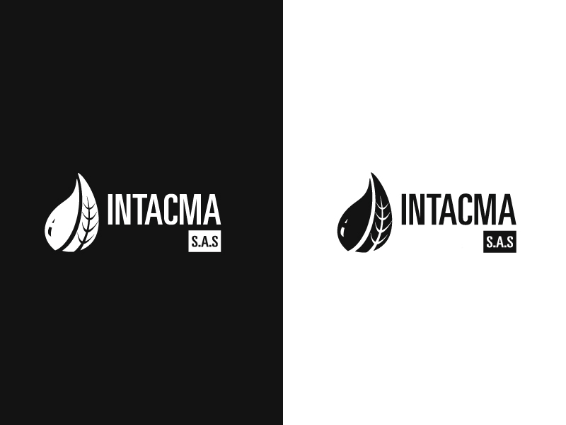 Intacma_2